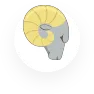 Aries.webp zodiac sign astrology